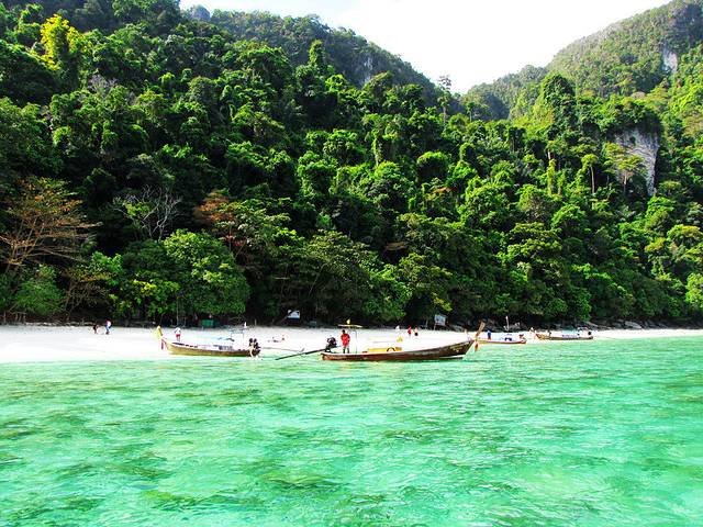 Monkey Beach