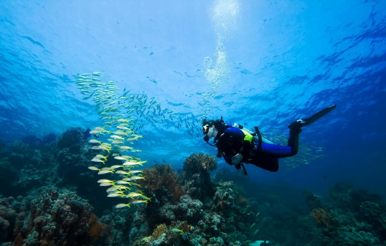PADI Open Water Course